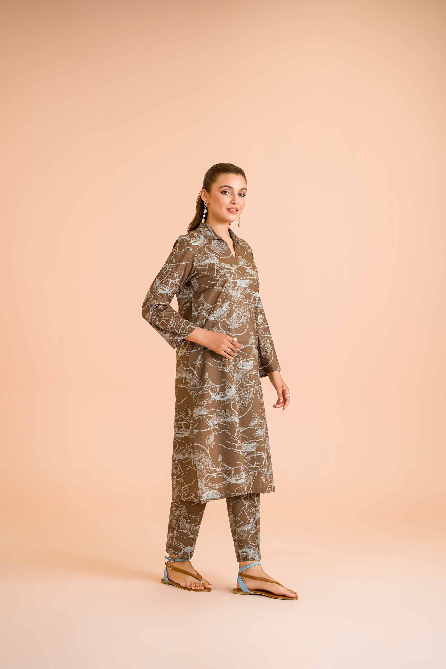 Brown Harmony Abstract Ensemble